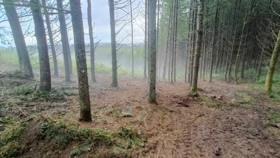 Meymac : une partie de la nouvelle parcelle qui va être sondée