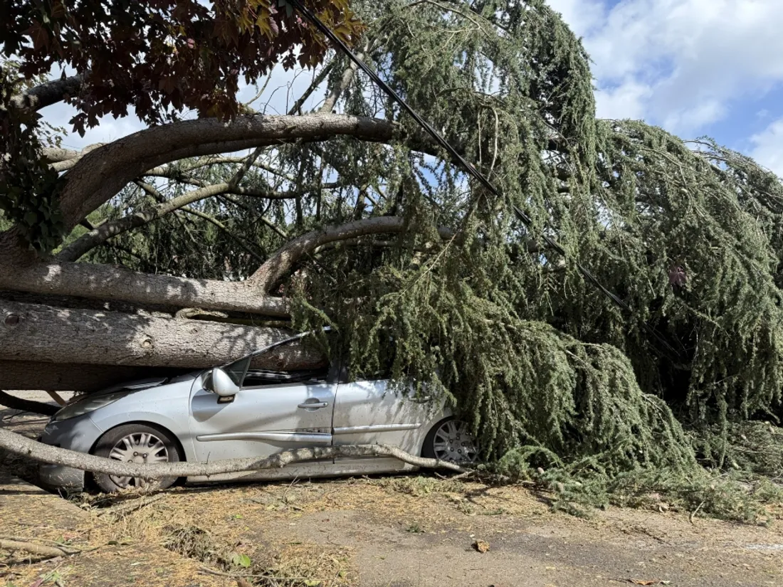 Les dégâts de l'orage du 25 juin 2025 à Decazeville (12)