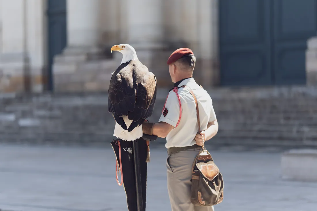 Malizia avec son fauconnier
