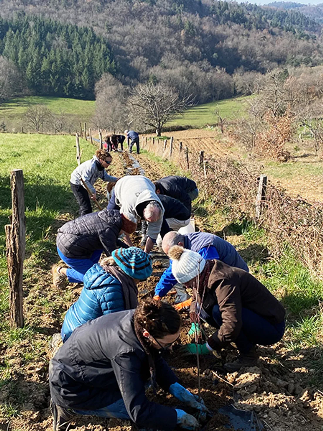 CHANTIER PLANTATATION