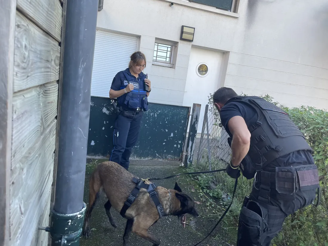 Point deal Brive Gaubre Chien renifleur