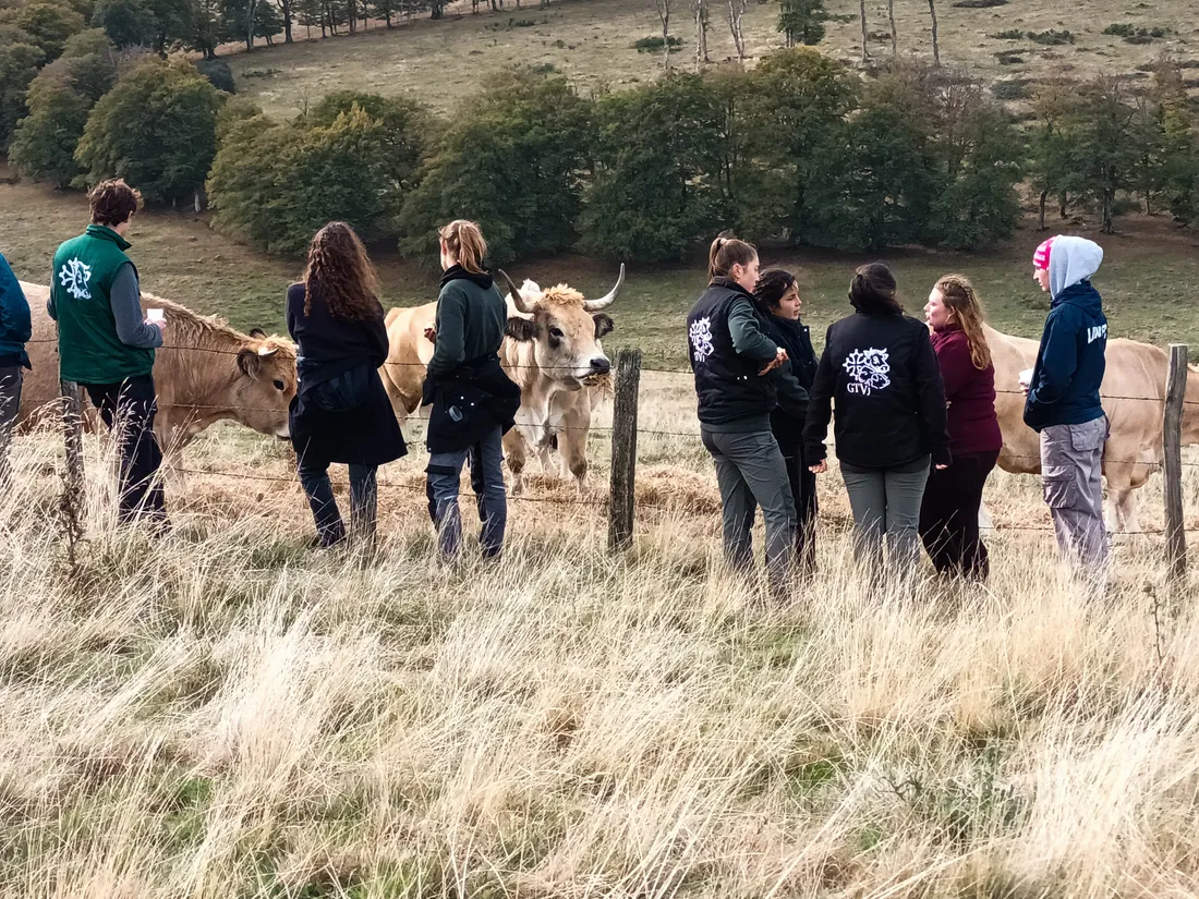 Un week-end de découverte de l'Aubrac a été organisé pour des jeunes vétérinaires.