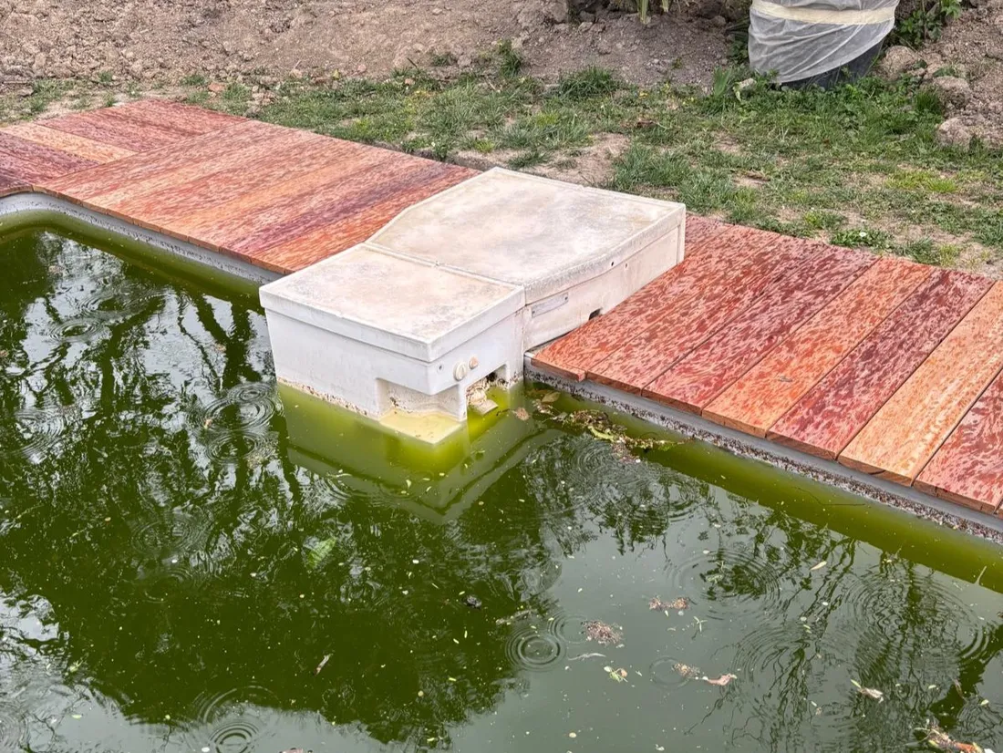 L'eau de piscine tourne au vert notamment par photosynthèse