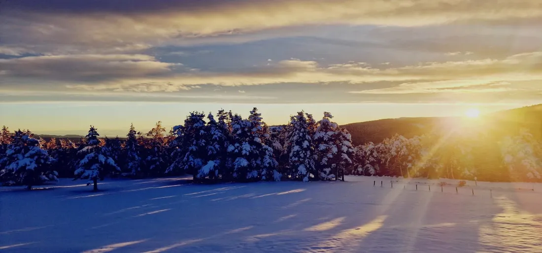Un joli manteau de neige est tombé dans la nuit de mardi à mercredi