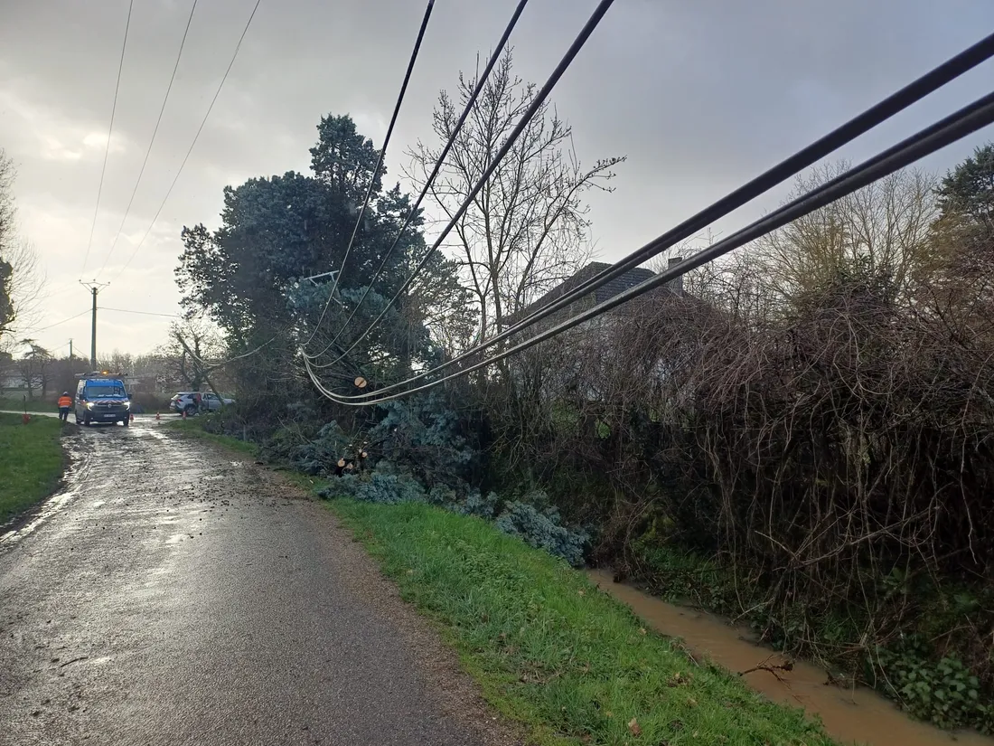 Les dégâts du vent après le passage de la tempête Nils dans le Tarn-et-Garonne