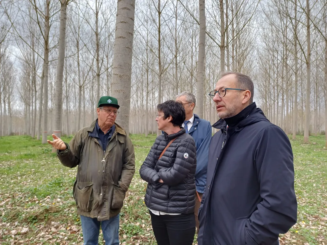 Le préfet de Tarn-et-Garonne Vincent Roberti dans la peupleraie de Verdun-sur-Garonne.