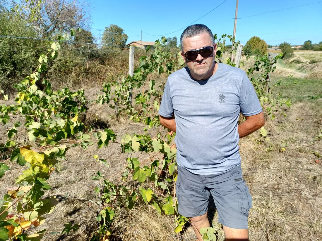 Hervé Cayrou devant les dernières vignes qu'il compte arracher à Saint-Sardos.