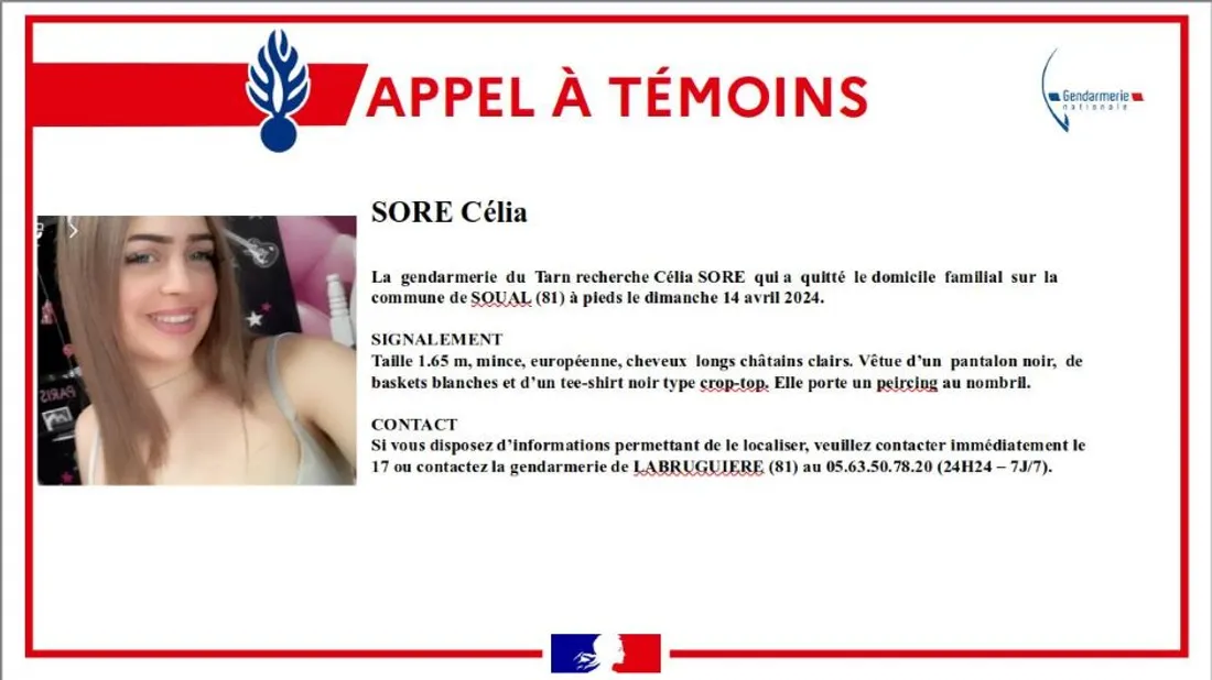 L'appel à témoins lancé par la gendarmerie du Tarn.