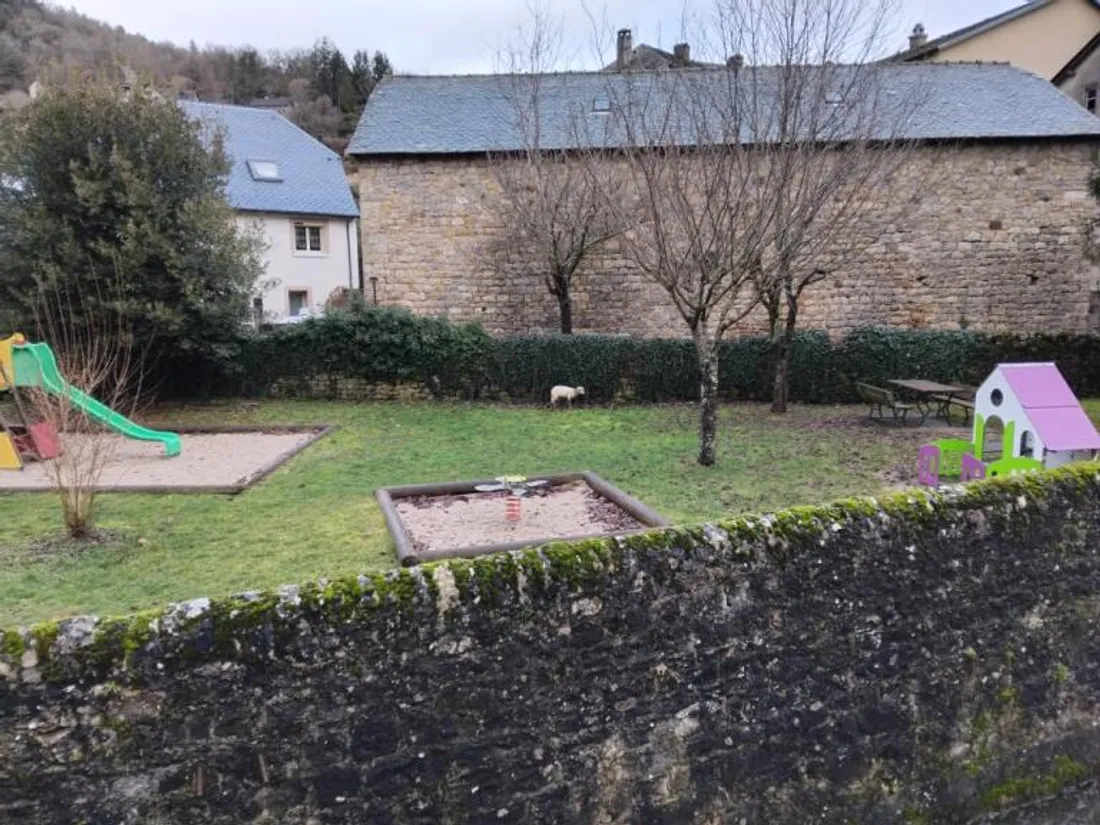 Une fois sauvé, l'agneau a attendu son propriétaire dans le jardin pour enfants