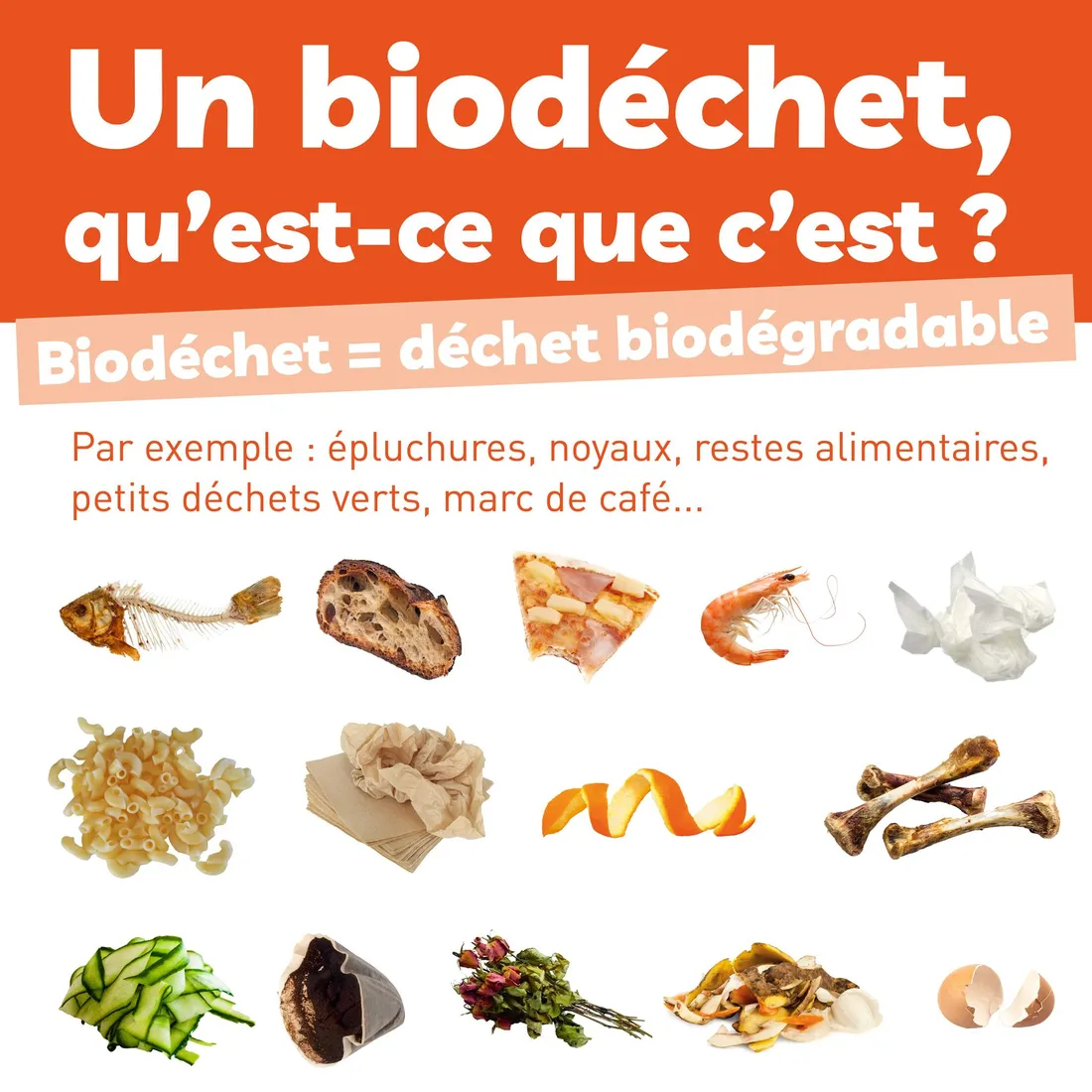 Des exemples de biodéchets