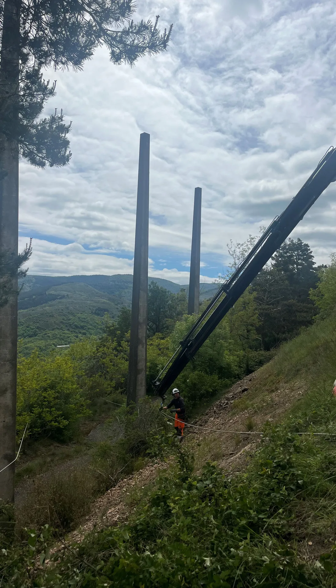 Un chantier Enedis pour protéger les rapaces.