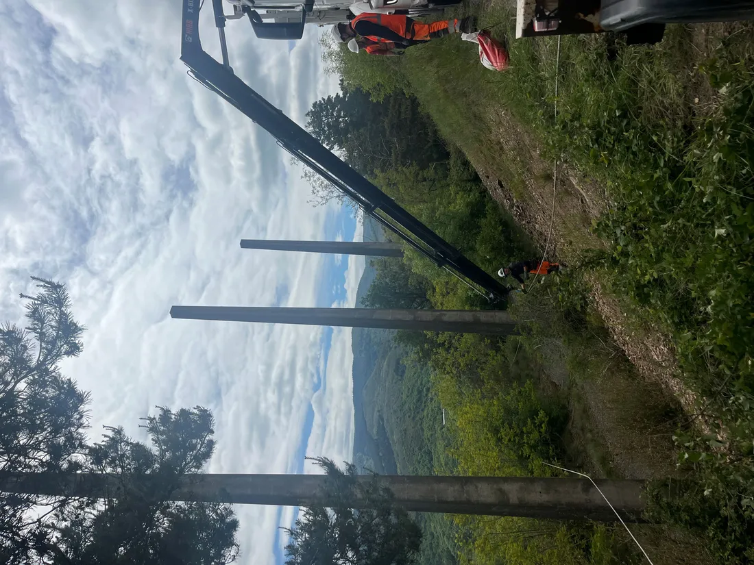 Un chantier Enedis pour protéger les rapaces.
