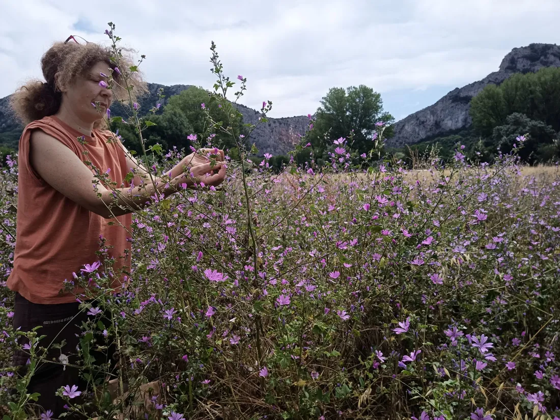 Stéphanie Amette cultive et transforme des plantes médicinales et aromatiques