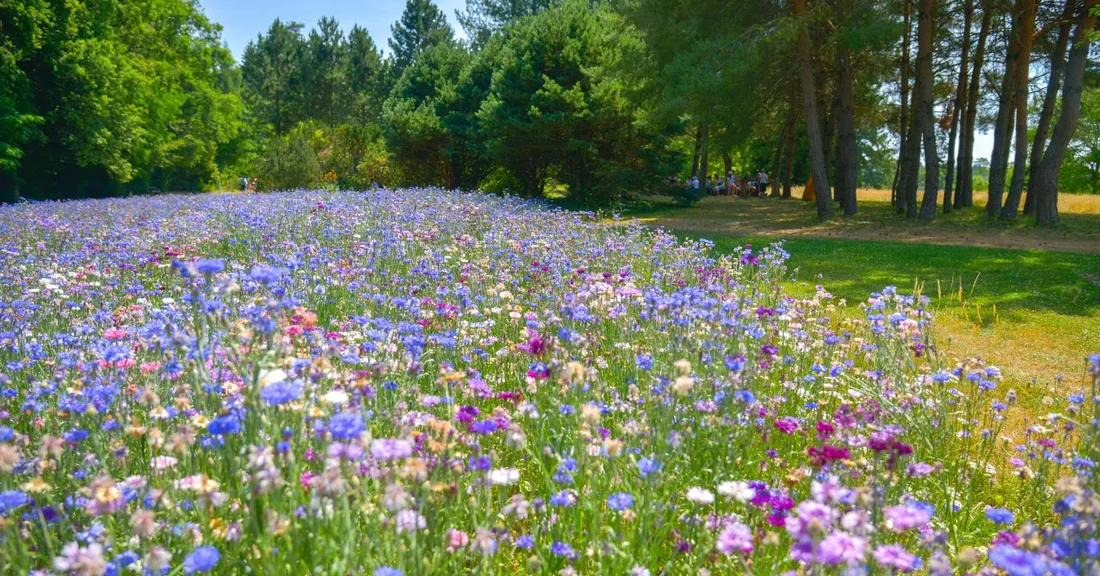 Le jardin de la Planteliere, dans le Cantal.