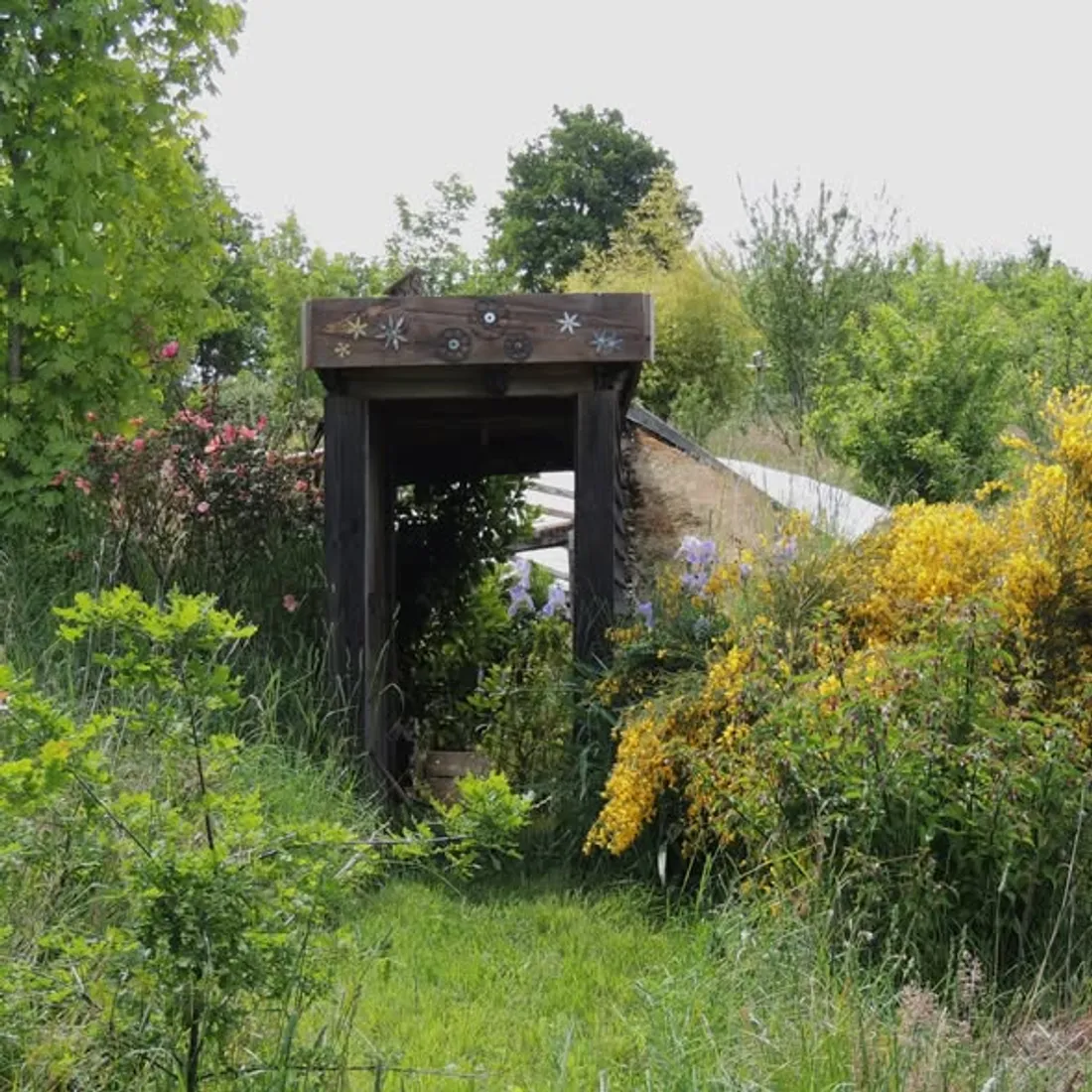 La serre enterrée, recouverte de terre et de plantes, dans le jardin du Landassou, à Quins (12)