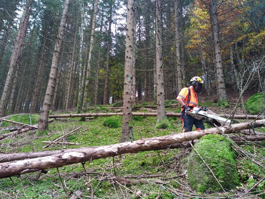 Un élève de l'école forestière de Javols en formation.