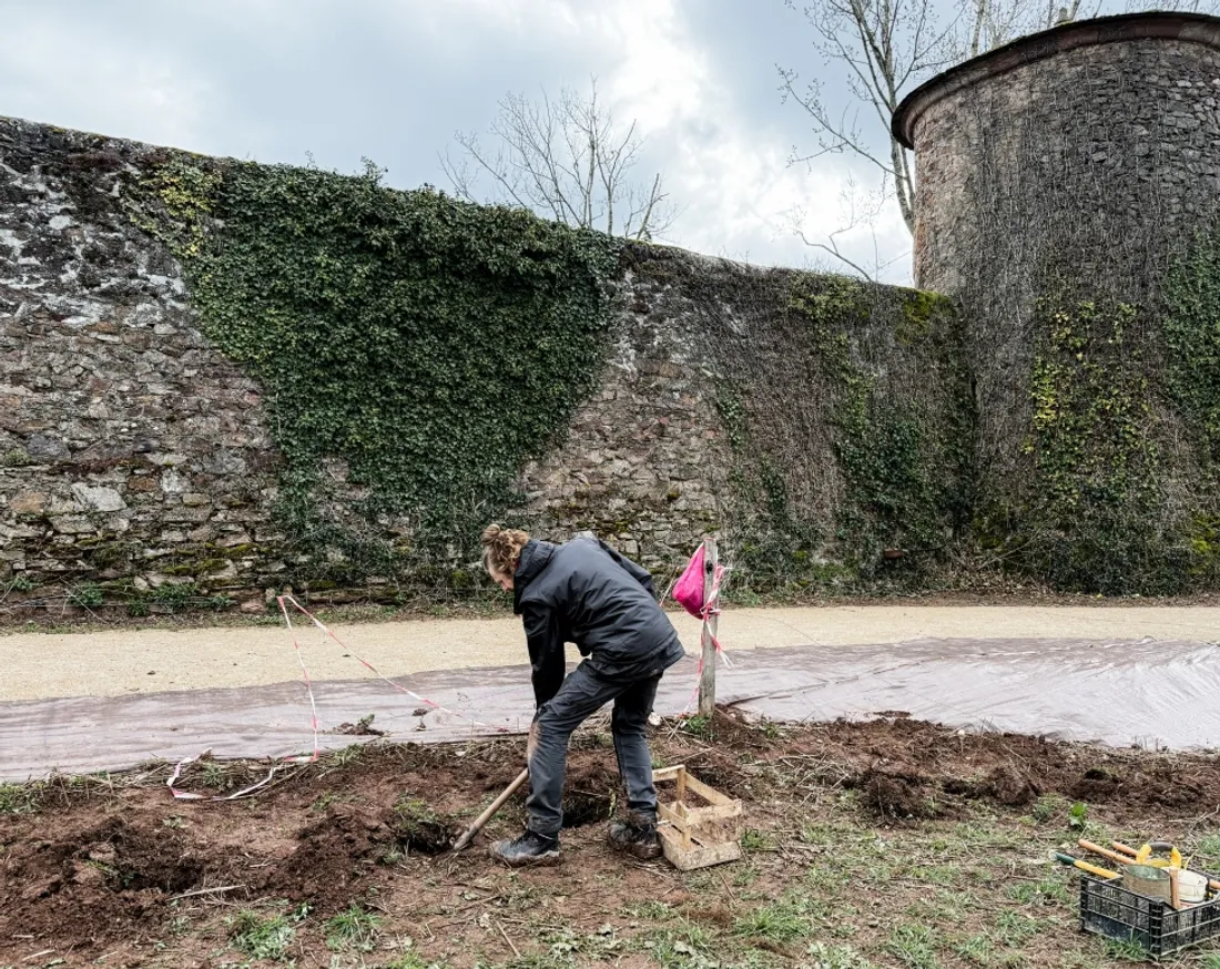 Florian, le nouveau maraîcher de la ville de Rodez, plante les premiers légumes de la saison