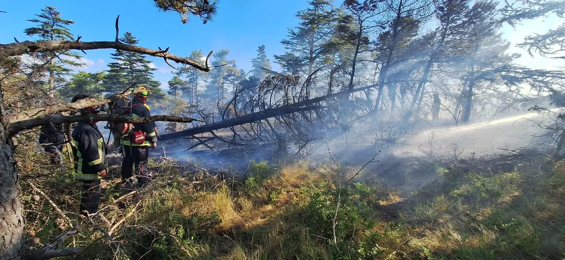 Des pompiers de l'Aveyron mobilisés face à l'incendie qui touche l'Aude et l'Hérault