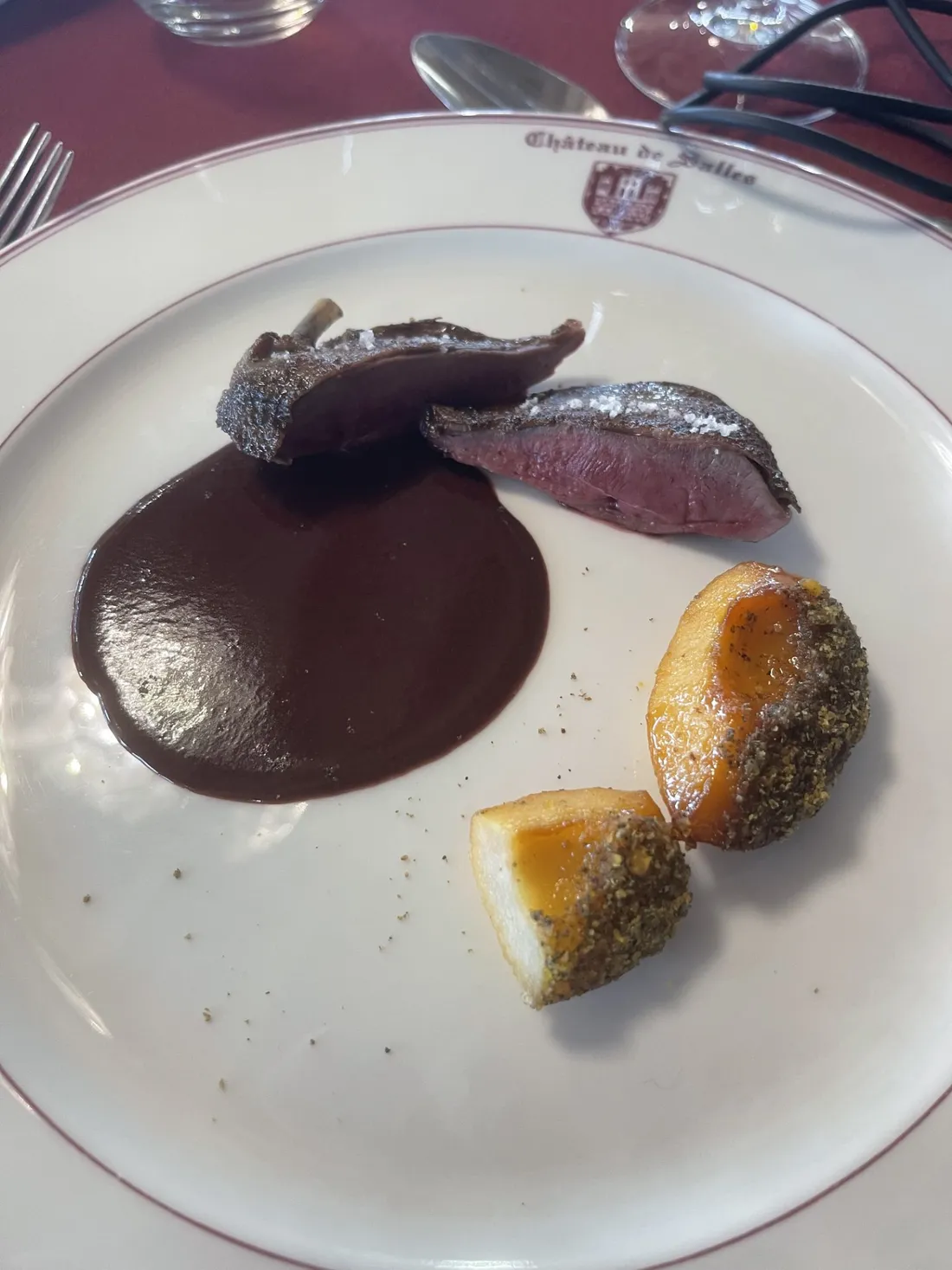 Pigeon - Château de salles