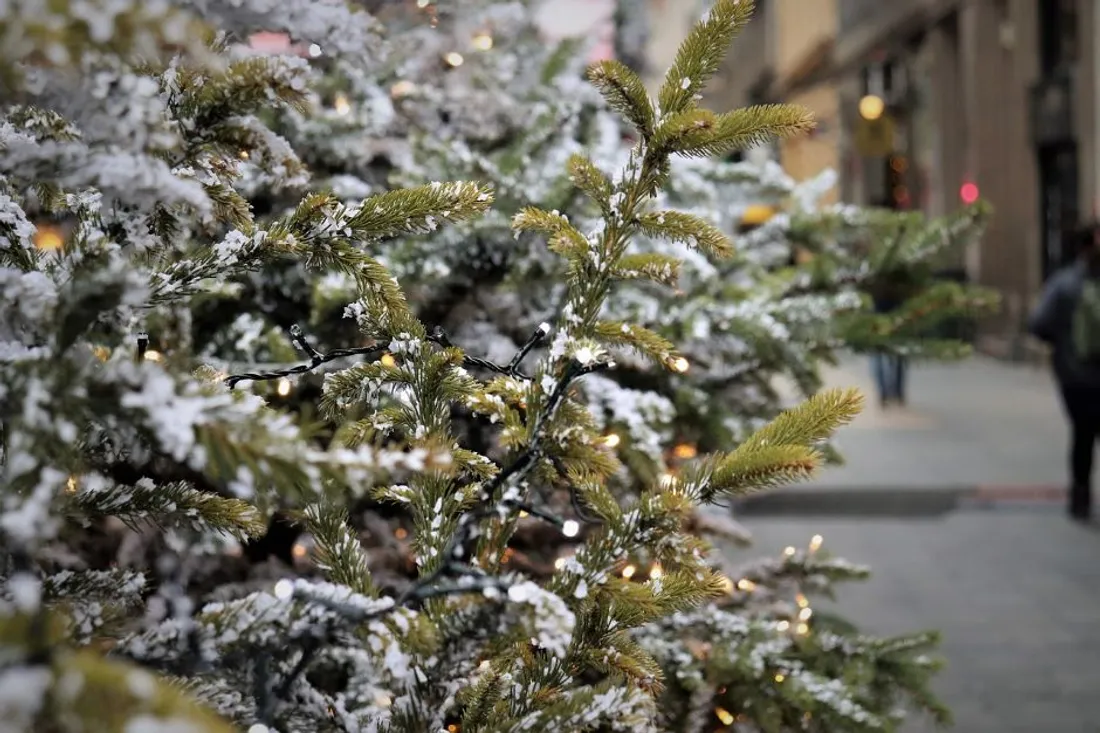 Sapin de Noël (illustration)