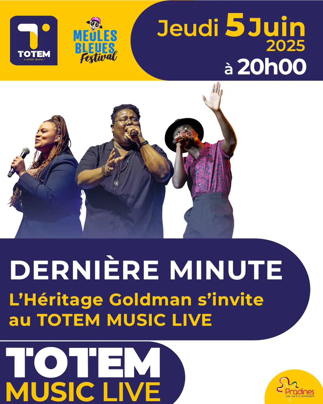 L'Héritage Goldman à l'affiche du Totem Music Live