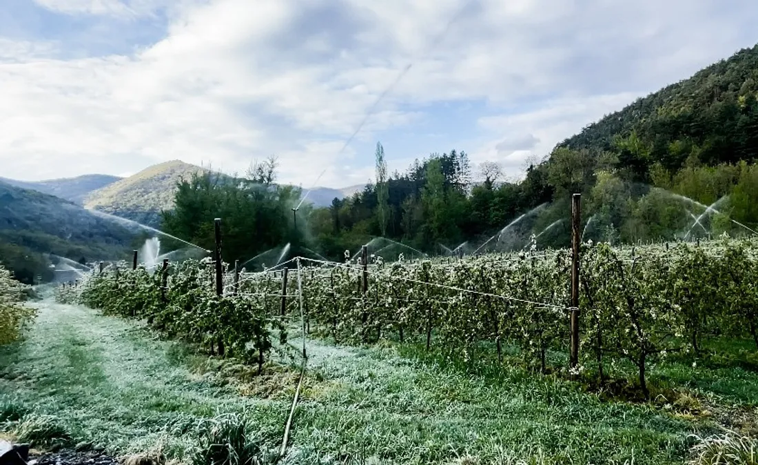 Verger à Boyne (12)