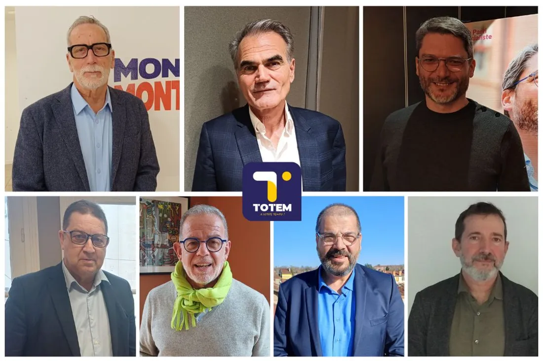 D.Lallemand, T.Deville, A.Hillion, JL.Lévi, JP.Labarre, S.Chikhi, R.Blanco