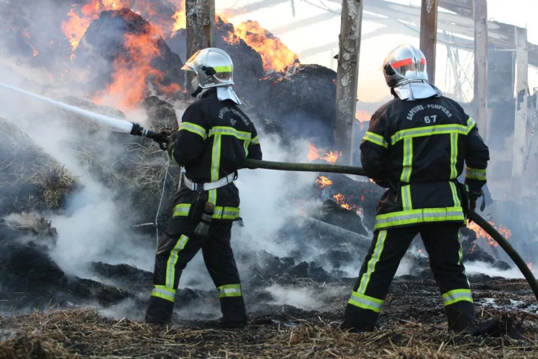 image d'illustration