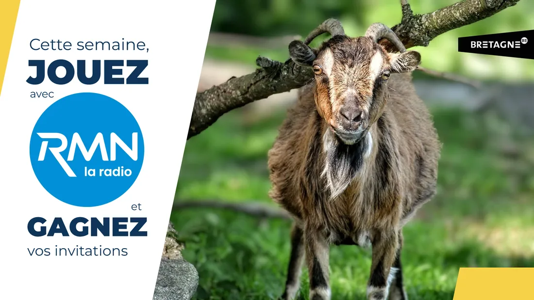 2026.32 Chez Dame Nature