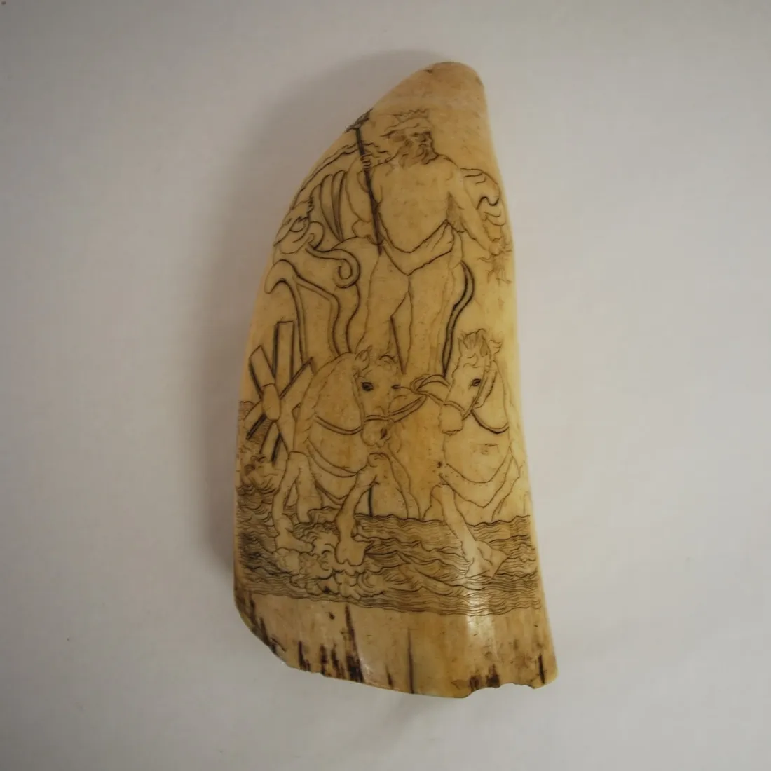 Dent de cachalot du musée de Guérande