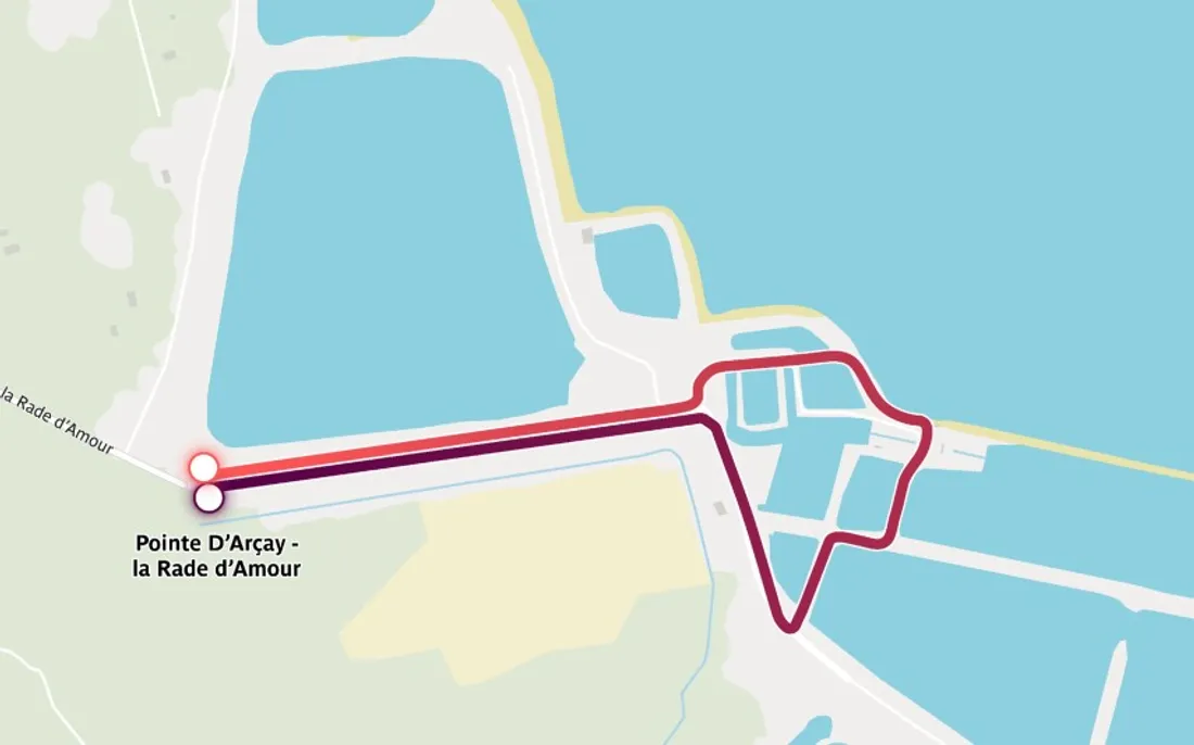 Le parcours de la flamme olympique à la Pointe d'Arçay