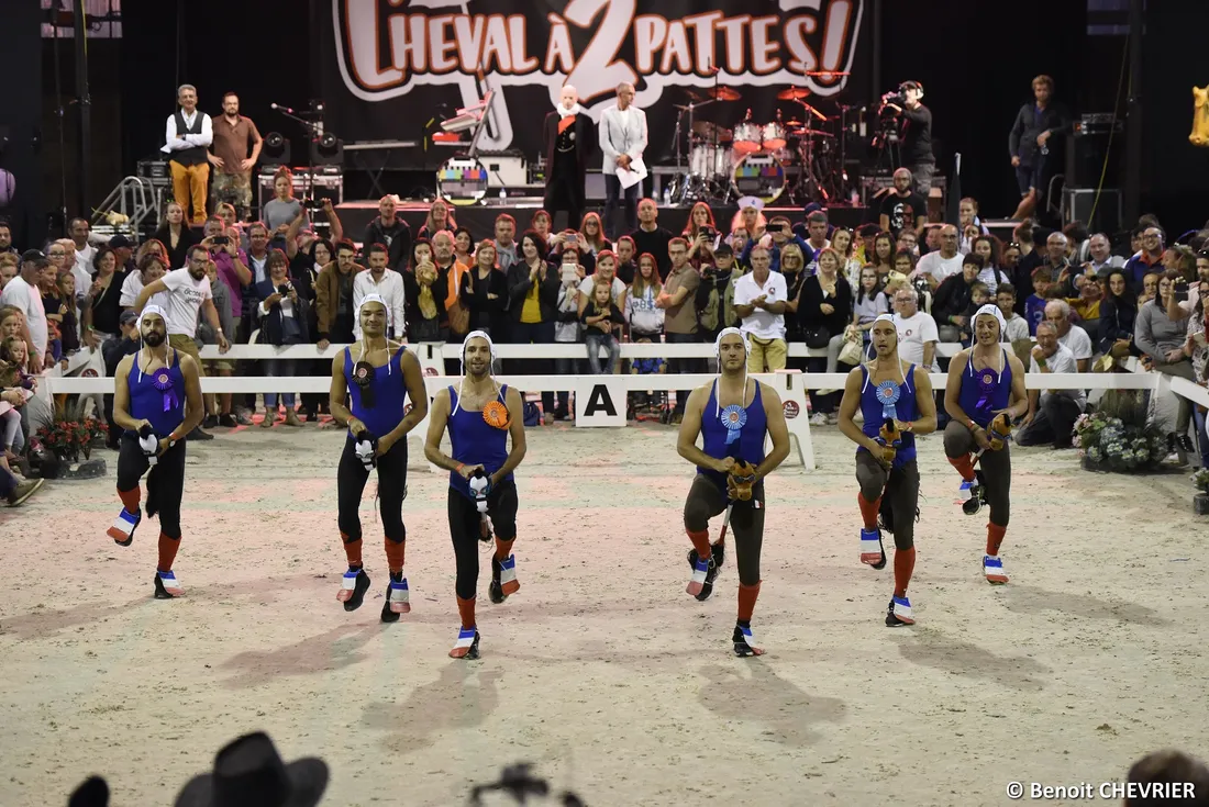 Du cheval à 2 pattes