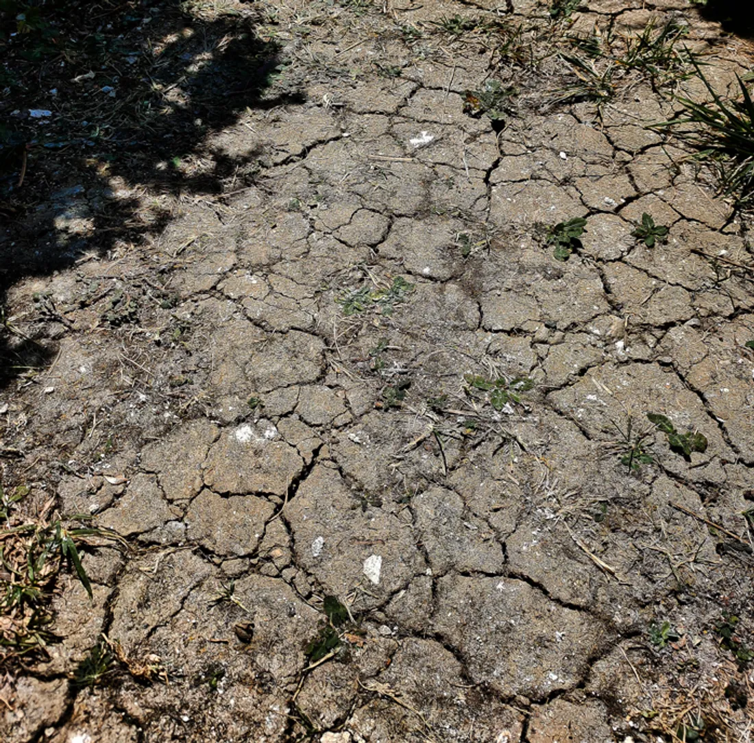 Un sol fissuré par la sécheresse, illustration