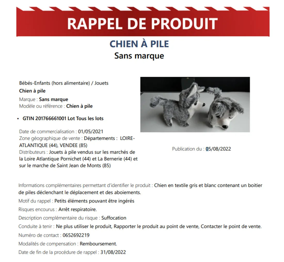 La fiche de rappel, capture d'écran