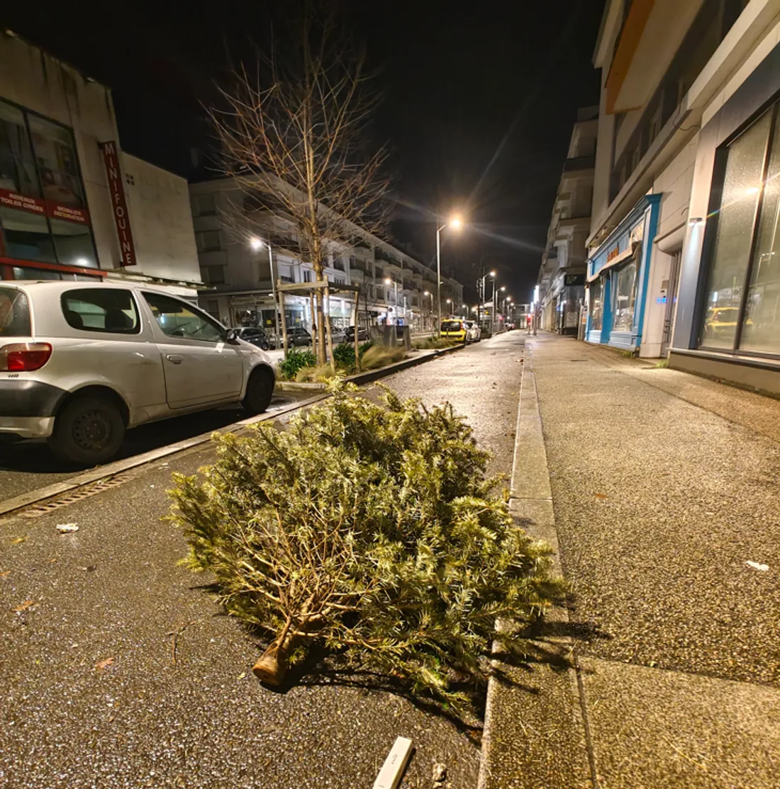 Un sapin abandonné a été poussé sur une route à Saint-Nazaire, illustration