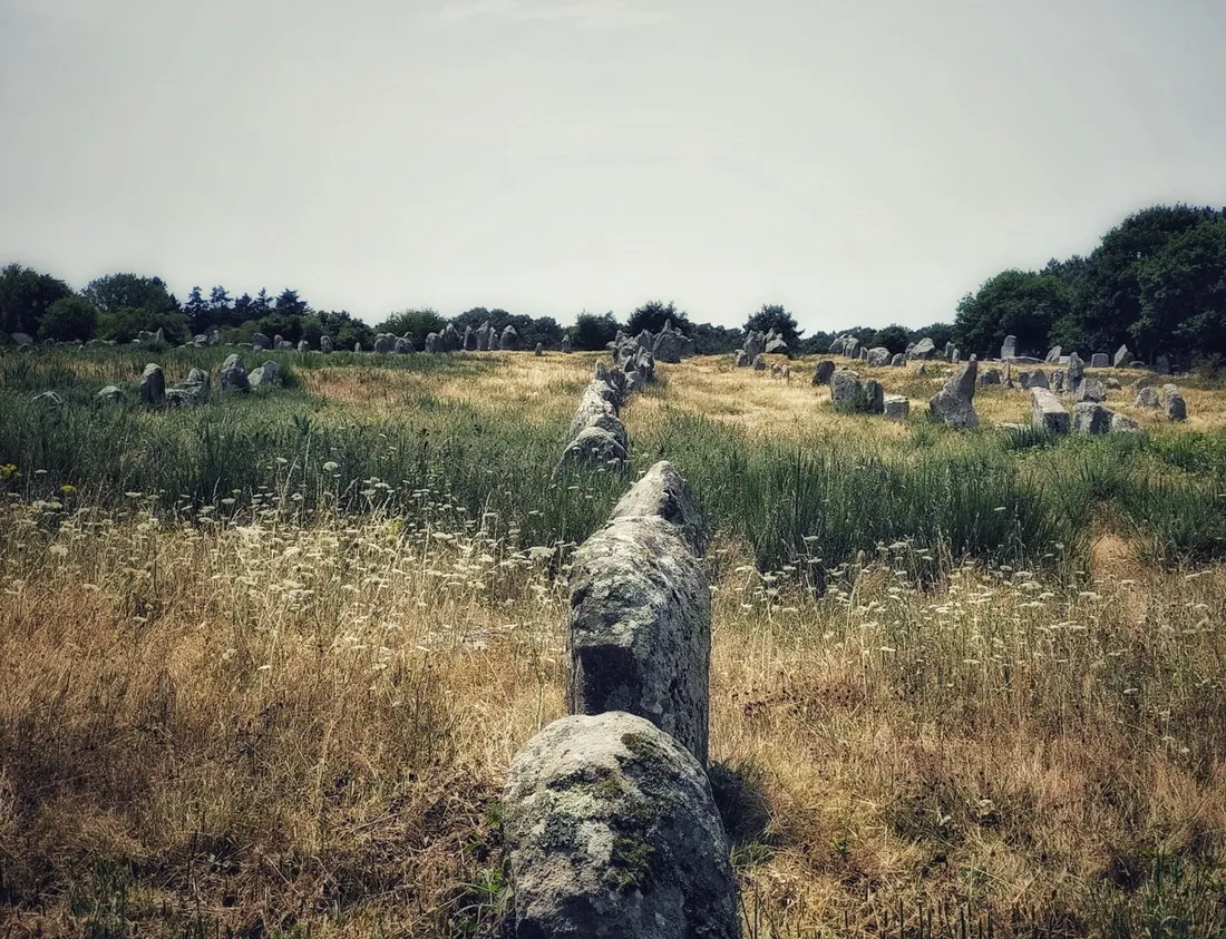 Un alignement de menhirs à Carnac, illustration
