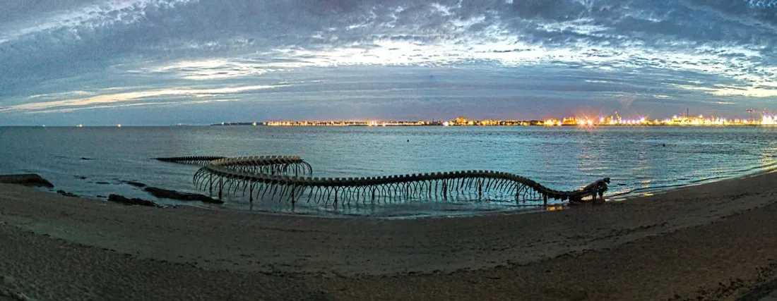 La caméra filme le large 24h sur 24, capture d'écran