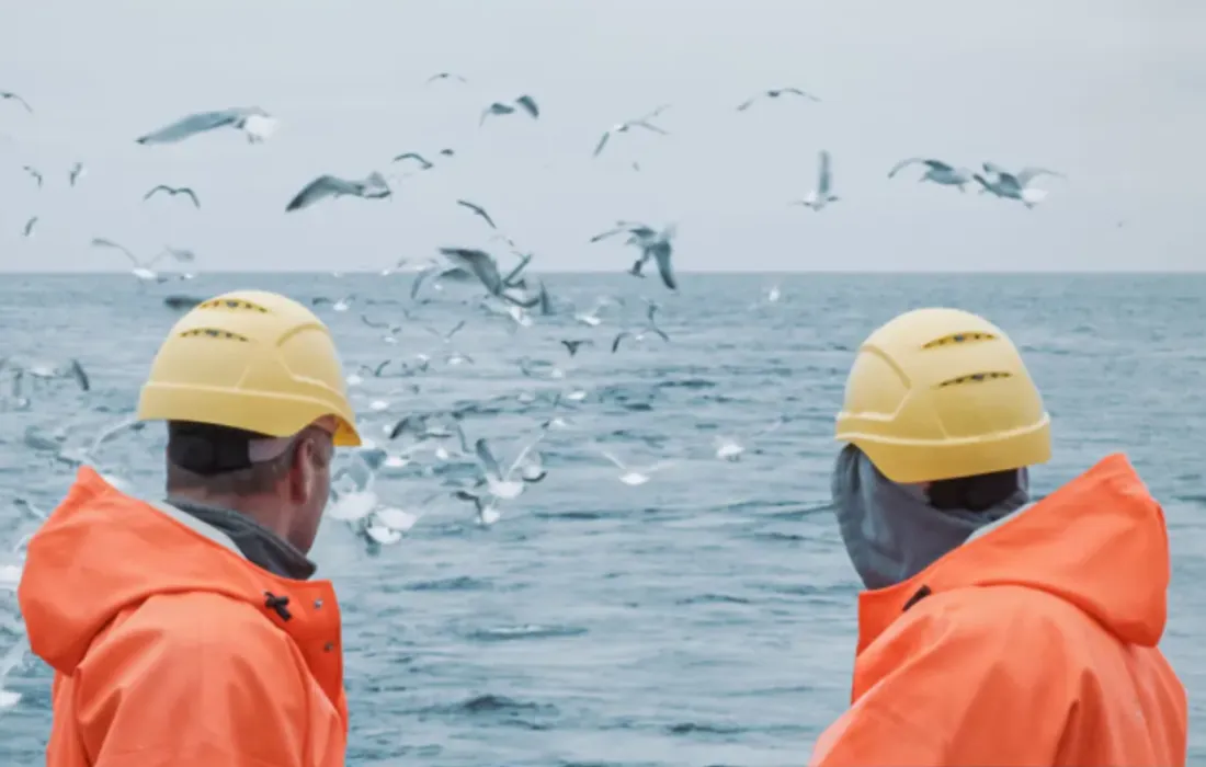 Golfe de Gascogne : interdiction temporaire de la pêche pour protéger les dauphins