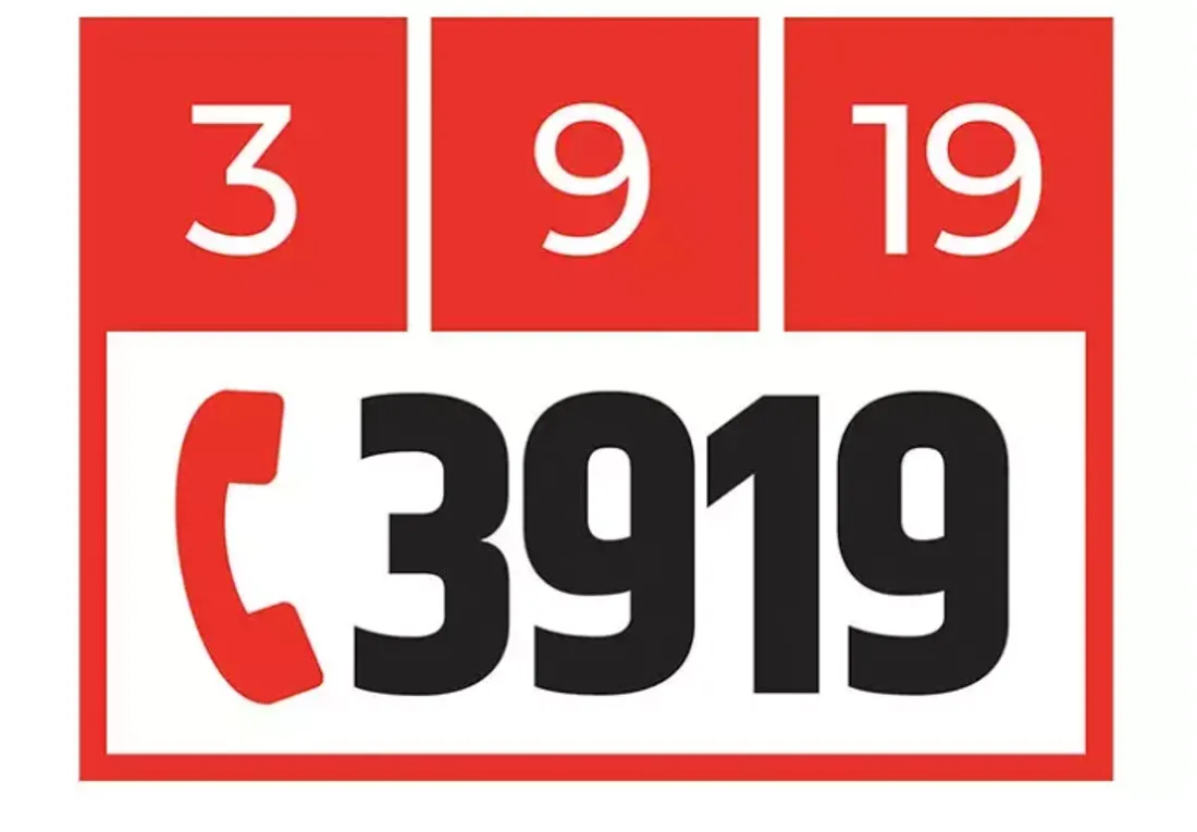 3919