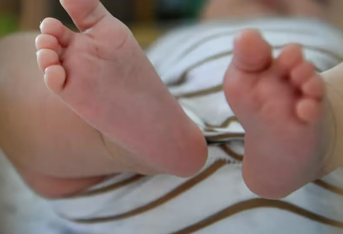 La natalité ne compense plus la mortalité en France, selon l'Ined