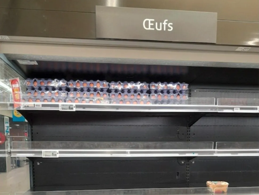 Les consommateurs peinent à trouver des œufs en grande surface.