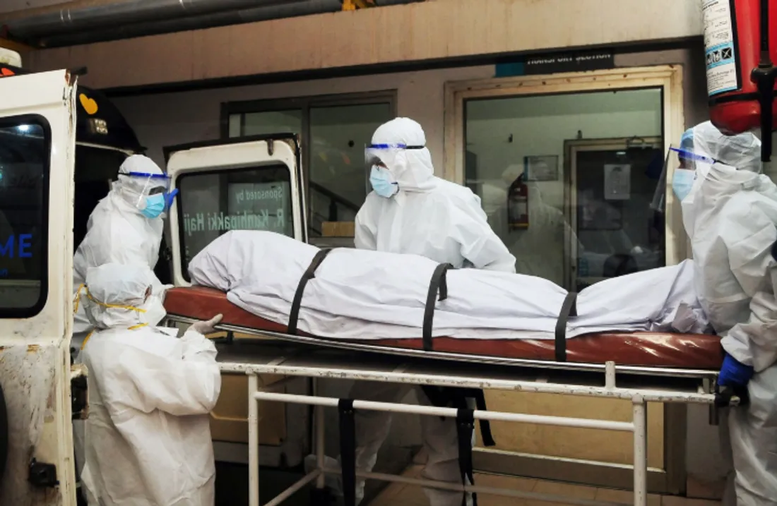 Virus Nipah : ce que l’on sait de cette maladie qui inquiète en Inde