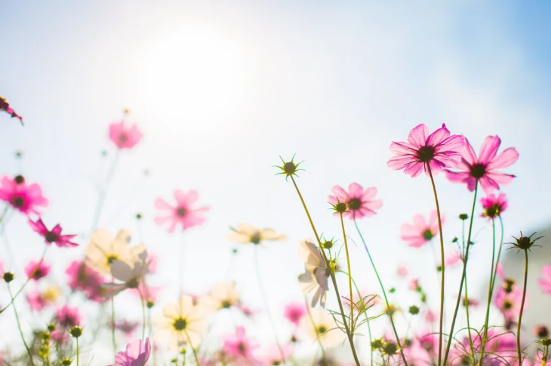 Le printemps arrive ! 