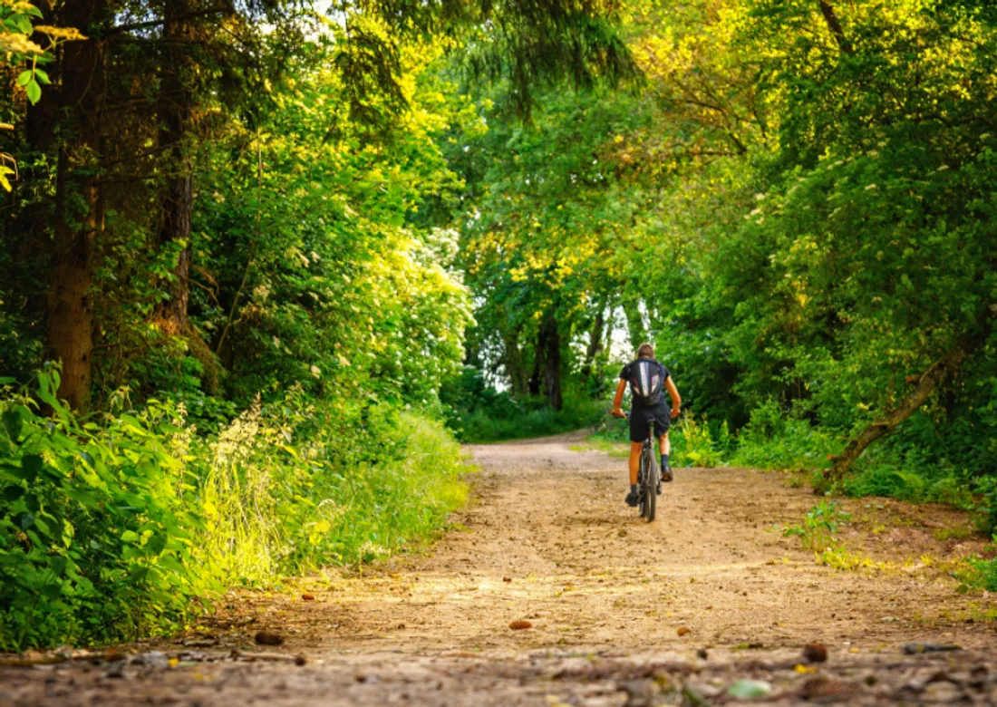 La nature : un puissant remède post-opératoire