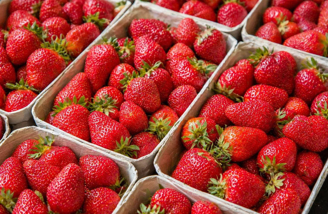 Une pleine saison qui fait baisser les prix