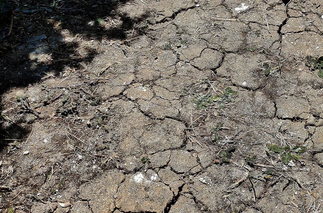 Image d'illustration