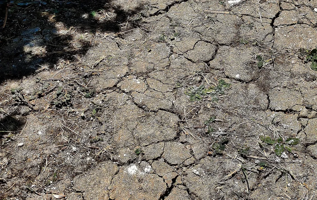 Image d'illustration