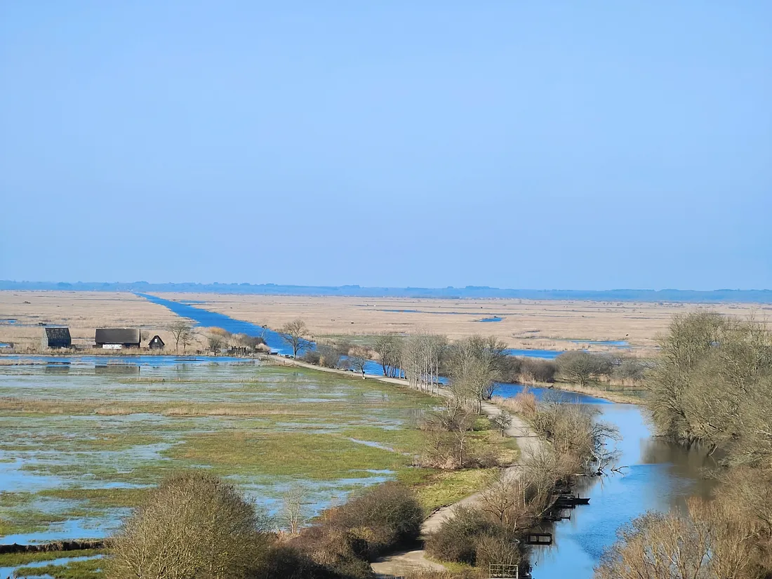 Le marais vu du belvédère de Rozé