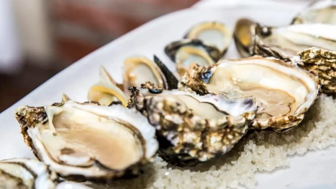 Des huîtres (image d'illustration)
