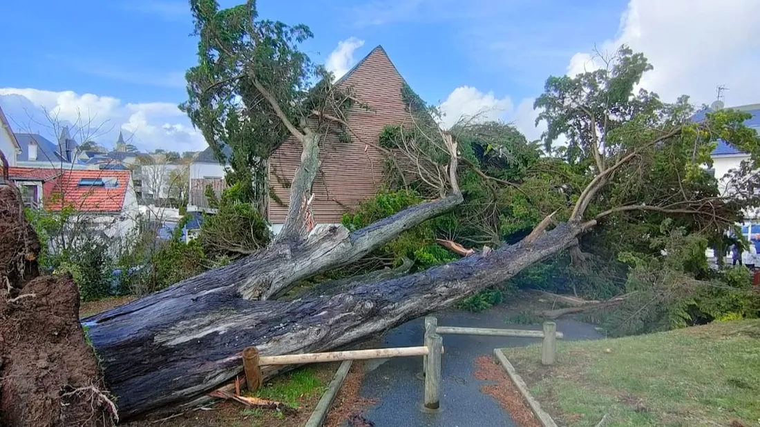 Les dégâts de la tempête Ciaran à Saint-Marc-sur-Mer